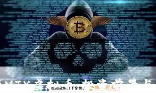 
全面解析MTX虚拟币：投资前景与风险评估