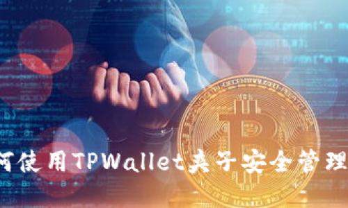 新手指南：如何使用TPWallet夹子安全管理你的数字资产