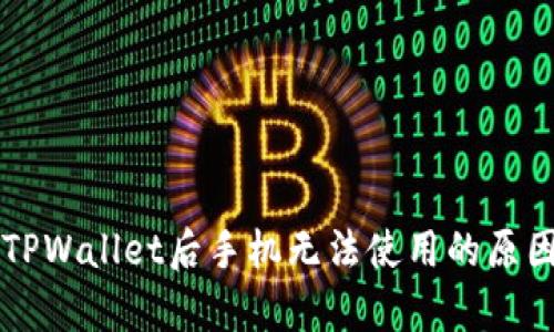 下载TPWallet后手机无法使用的原因解析