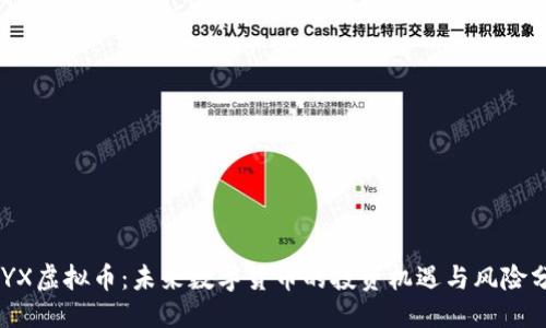 ```
CNYX虚拟币：未来数字货币的投资机遇与风险分析