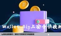 如何在TP Wallet Big上安全快