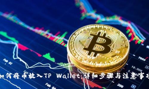 如何将币放入TP Wallet：详细步骤与注意事项