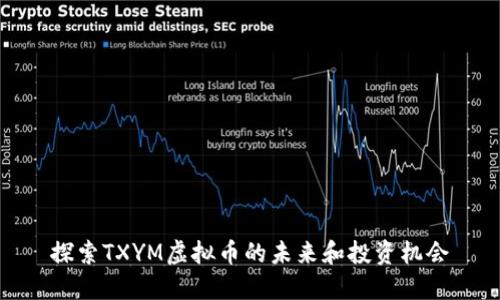 探索TXYM虚拟币的未来和投资机会