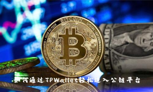 如何通过TPWallet轻松进入公链平台