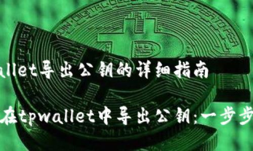 tpwallet导出公钥的详细指南

如何在tpwallet中导出公钥：一步步指南