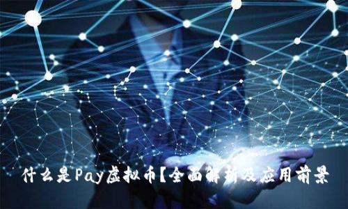 什么是Pay虚拟币？全面解析及应用前景