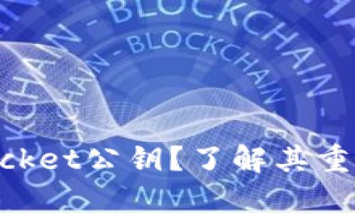 什么是TokenPocket公钥？了解其重要性和使用方式