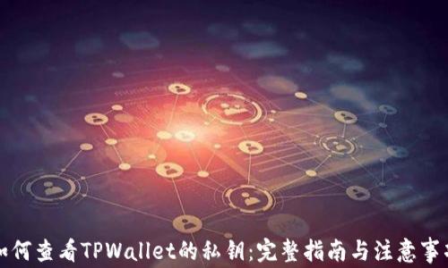 
如何查看TPWallet的私钥：完整指南与注意事项