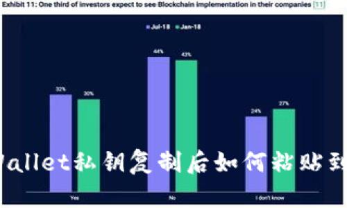 标题: TPWallet私钥复制后如何粘贴到其他钱包？