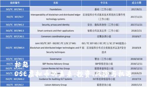 标题
DSE虚拟币的未来：投资、风险与机遇