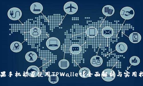 苹果手机能否使用TPWallet？全面解析与实用指南