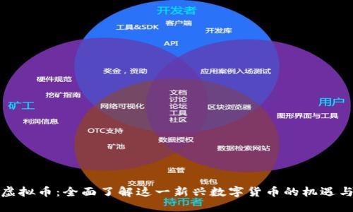 Debi虚拟币：全面了解这一新兴数字货币的机遇与挑战