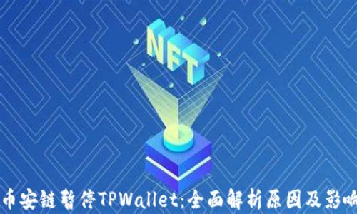 
币安链暂停TPWallet：全面解析原因及影响