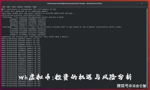 wh虚拟币：投资的机遇与风险分析