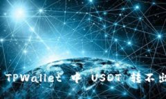 如何解决 TPWallet 中 USDT 转