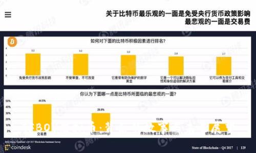 TFBOY虚拟币：背后的故事与未来展望