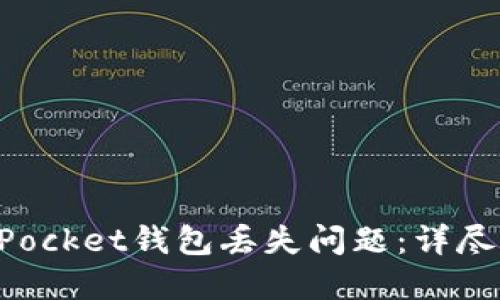 如何处理TokenPocket钱包丢失问题：详尽指南及解决方案