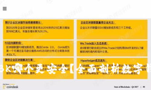 TPWallet和BK哪个更安全？全面剖析数字钱包的安全性