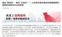   2021年虚拟币市场趋势与