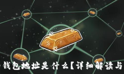   
虚拟币的钱包地址是什么？详细解读与实用指南