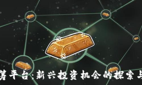   
虚拟币众筹平台：新兴投资机会的探索与风险分析