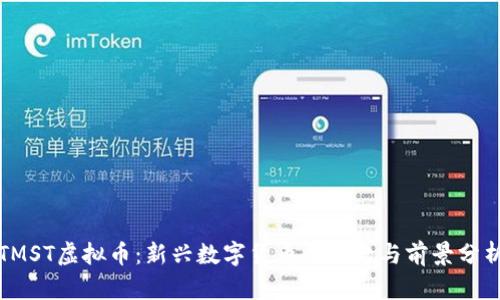 TMST虚拟币：新兴数字货币的崛起与前景分析