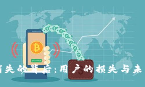 虚拟币平台消失的背后：用户的损失与未来的发展趋势