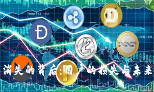虚拟币平台消失的背后：用户的损失与未来的发展趋势