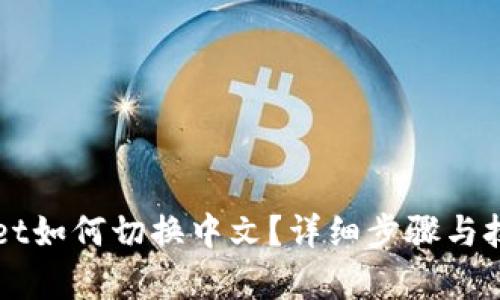 TPWallet如何切换中文？详细步骤与技巧解析