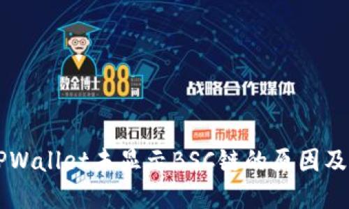 电脑版TPWallet未显示BSC链的原因及解决方法