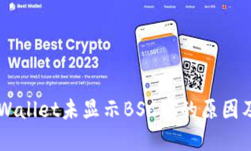 电脑版TPWallet未显示BSC链的原因及解决方法