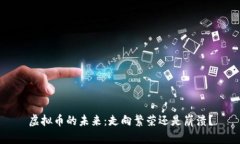 虚拟币的未来：走向繁荣