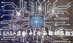 什么是CASA虚拟币？全面解