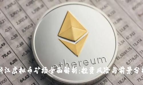 浙江虚拟币矿场全面解析：投资风险与前景分析