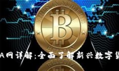 虚拟币A网详解：全面了解