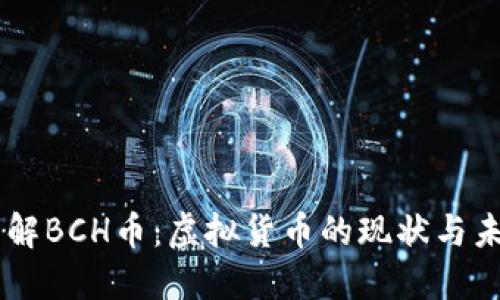 了解BCH币：虚拟货币的现状与未来