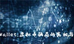 揭秘TP Wallet：虚拟币骗局的真相与防范措施