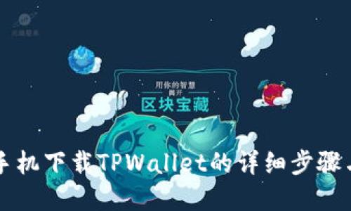 苹果手机下载TPWallet的详细步骤与技巧