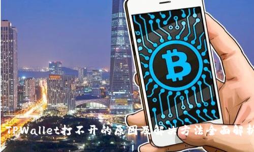  TPWallet打不开的原因及解决方法全面解析