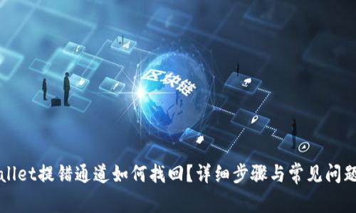 TPWallet提错通道如何找回？详细步骤与常见问题解析