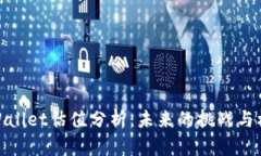 TPWallet估值分析：未来的挑