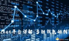 TokenPocket平台详解：多链钱包的创新与优势