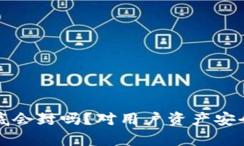 tpwallet年底会封吗？对用户资产安全的影响分析