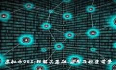 虚拟币OES：理解其基础、