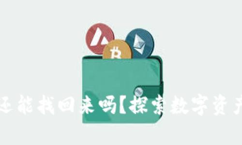tpwallet被盗后还能找回来吗？探索数字资产安全与恢复方法