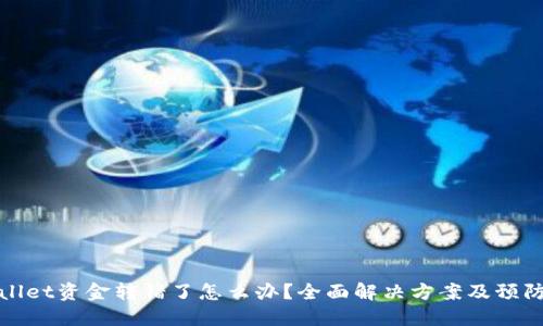 TPWallet资金转错了怎么办？全面解决方案及预防措施