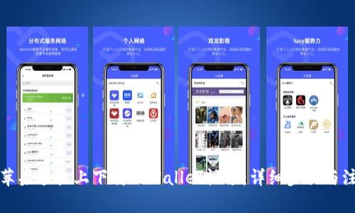 如何在苹果手机上下载TPWallet视频：详细步骤与注意事项
