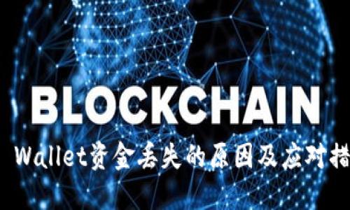 TP Wallet资金丢失的原因及应对措施
