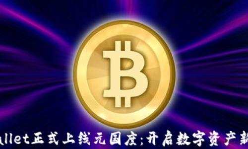 
TPWallet正式上线元国度：开启数字资产新篇章