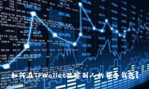 如何在TPWallet观察别人的锁仓钱包？